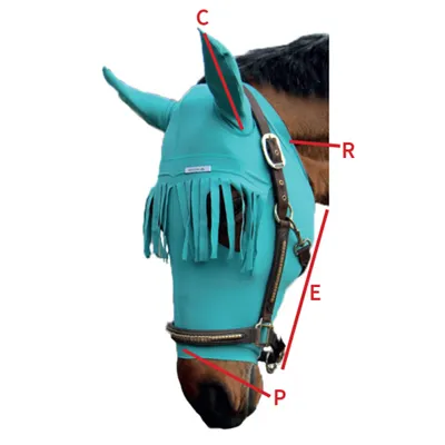 Horses Head-Ear Protection | measurement table