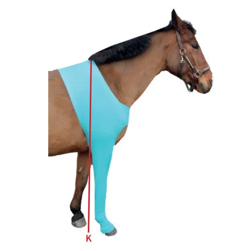 Horse protection foreleg | measurement table