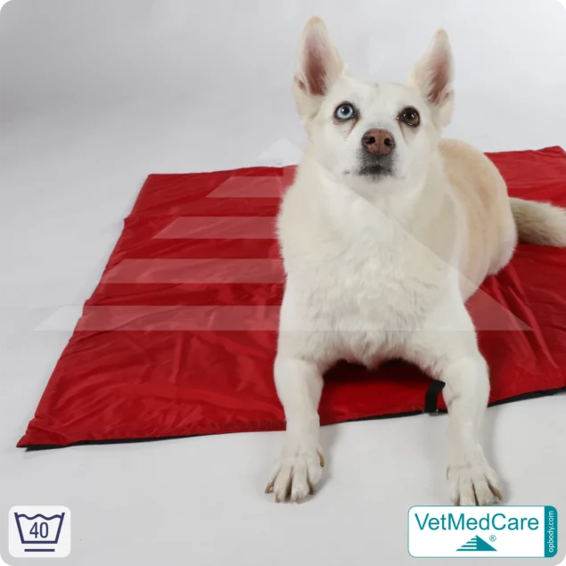 Animal Pad | highly insulating dog blanket red/black - also for the dog bed and car | VetMedCare®