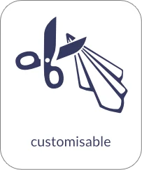 Customisable icon