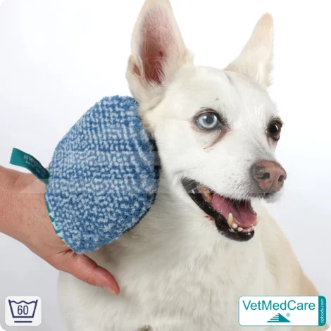 Grooming Glove | glove like a dog brush for grooming dog, cat, horse and short-haired small animals | VetMedCare®