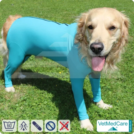 Dog bodysuit | pet shirt with legs + zipper | dog full body medical pet coat / jacket / recovery vest | VetMedCare®