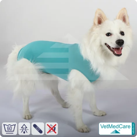 Dog bodysuit / vest without legs - protective dog pet shirt / coat / jacket | especially for the male dog | VetMedCare®