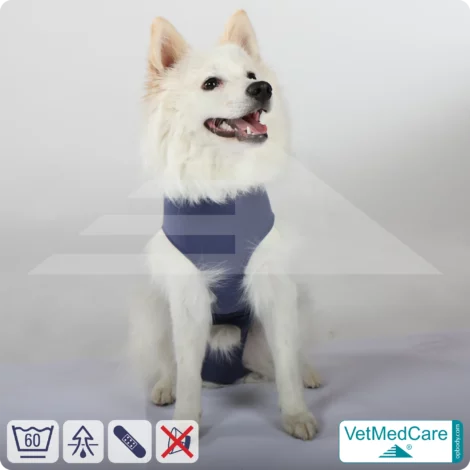 Dog suit / vest without legs - protective dog pet shirt / coat / jacket | especially for the male dog | VetMedCare®