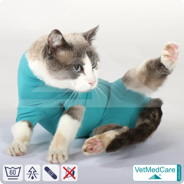 Cat Bodysuit | Cat body + wound protection specially developed for cats | VetMedCare®