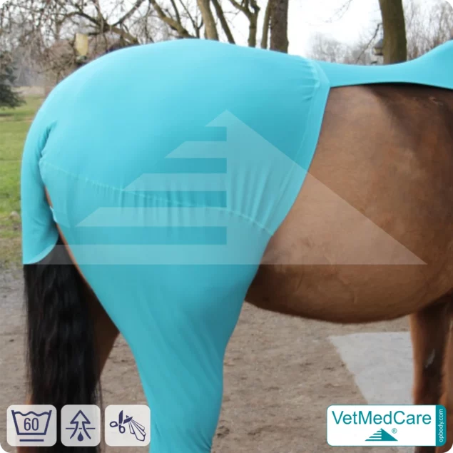 Horse wound protection / leg protection for the horse legs - hind leg | left and right fitting | VetMedCare®