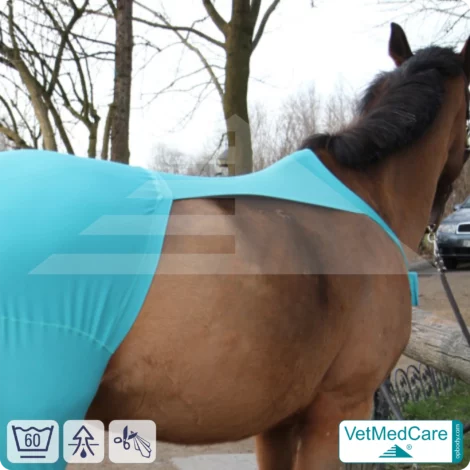 Horse wound protection / leg protection for the horse legs - hind leg | left and right fitting | VetMedCare®