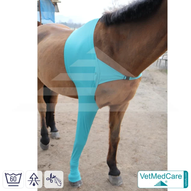 Horse wound protection / leg protection for the horse legs - foreleg | left and right fitting | VetMedCare®