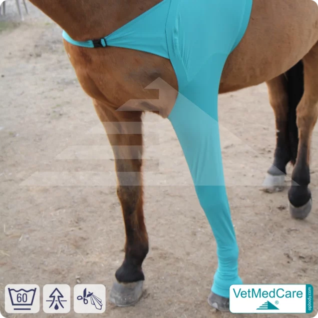 Horse wound protection / leg protection for the horse legs - foreleg | left and right fitting | VetMedCare®