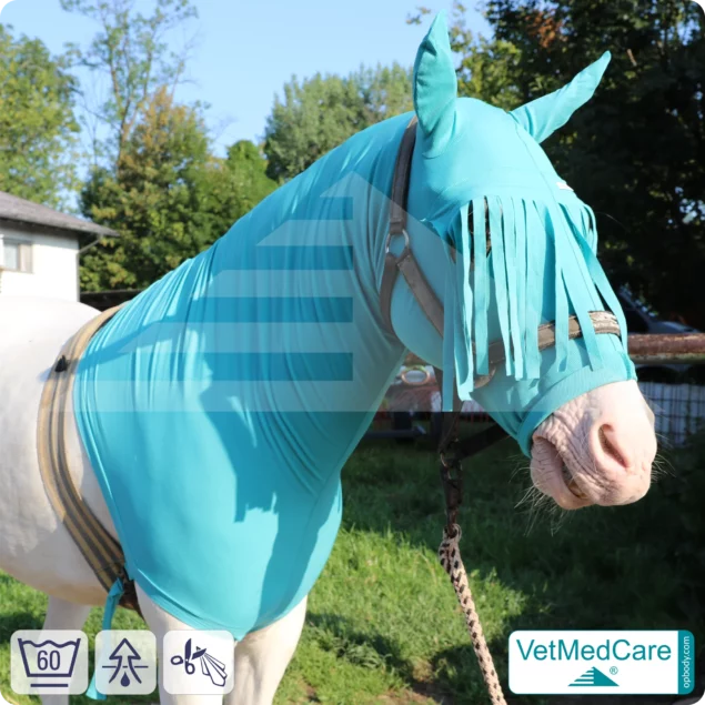 Stretch Rug, Horse Hood Protection Bonnet - fly, mosquito, insect protection of head, ears and neck - with forehead fringes | VetMedCare®