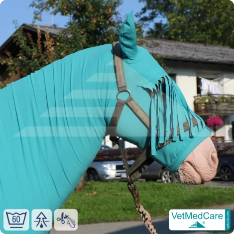 Stretch Rug, Horse Hood Protection Bonnet - fly, mosquito, insect protection of head, ears and neck - with forehead fringes | VetMedCare®