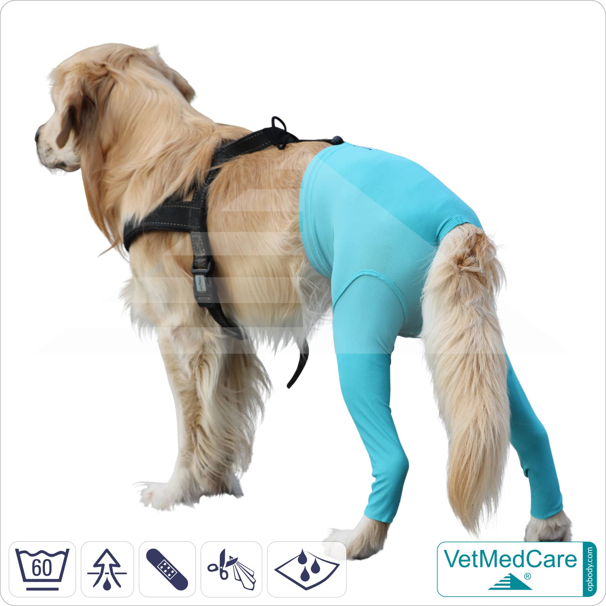  Dog safety pants  for dogs in heat and incontinence