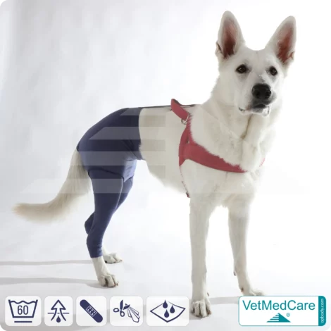 Dog Safety Pants / nappies | for dogs / bitches in heat, menstruation and incontinence | VetMedCare®