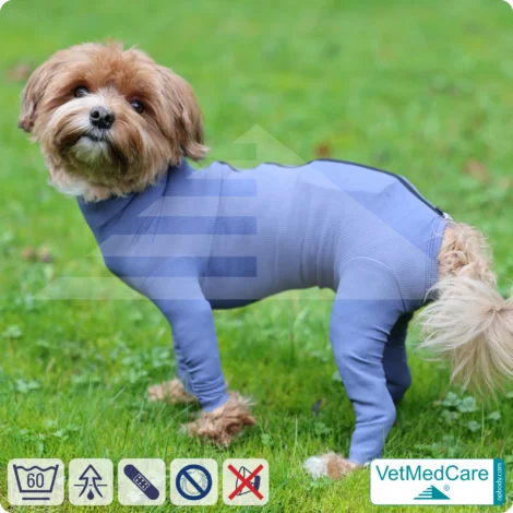Dog bodysuit with zipper blue | VetMedCare