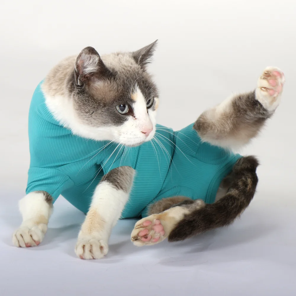 VetMedCare Cat Category