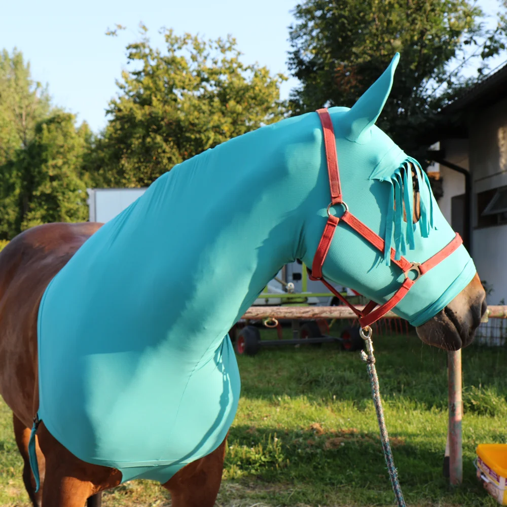 VetMedCare Horse Category